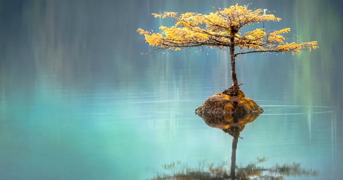 Paisaje fantástico que ilustra el control en los sueños lúcidos