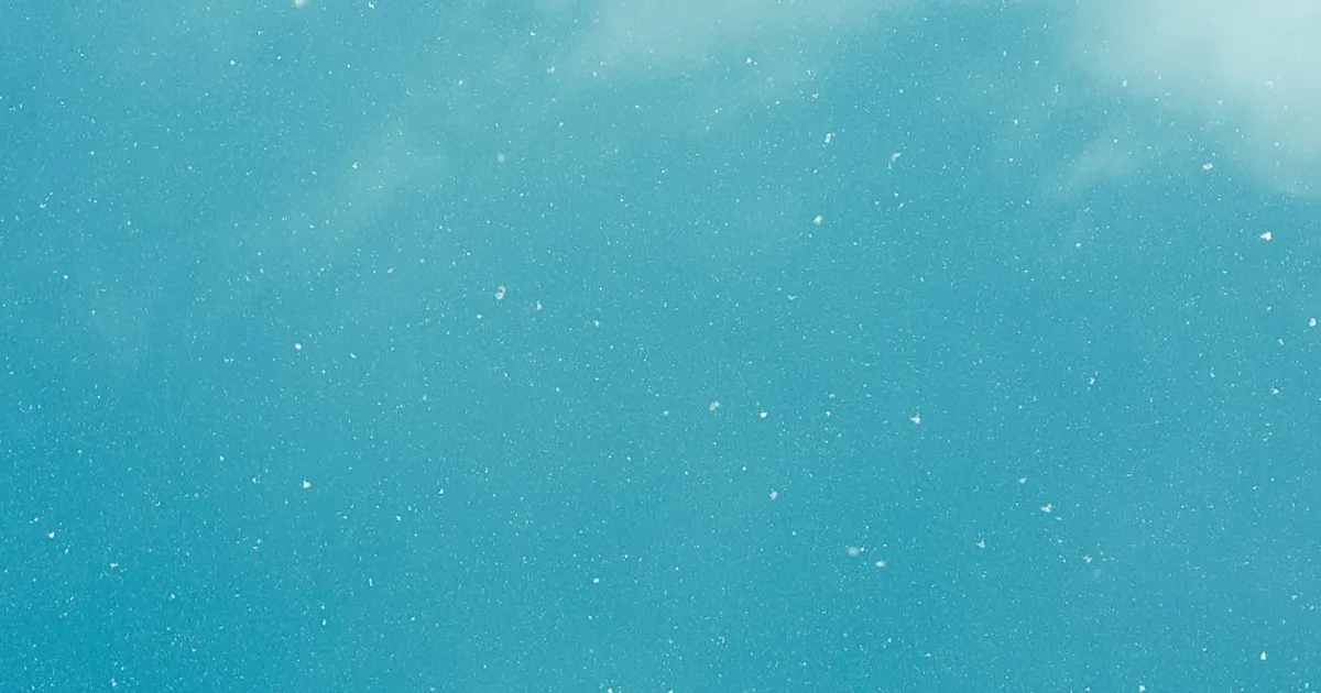 Rostro sereno en equilibrio con su mundo interior